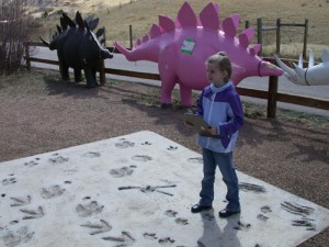 Fiona is taking notes on what animals made these footprints