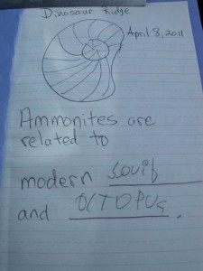Fiona's notes taken at Dinosaur Ridge