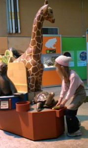 Playing in the children's room