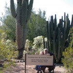 Greetings from the Desert Botanical Gardens